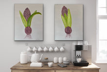 Load image into Gallery viewer, Organic Hyacinth Bulb Original Canvas Pair By Kerrie Griffin