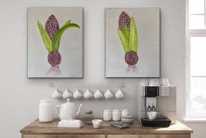 Organic Hyacinth Bulb Original Canvas Pair By Kerrie Griffin