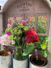 Load image into Gallery viewer, Distressed White Chicken Wire Window Tin Pot Planter