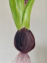 Load image into Gallery viewer, Organic Hyacinth Bulb Original Canvas By Kerrie Griffin The Interior Co
