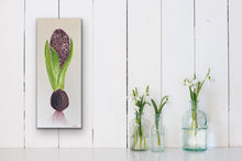 Load image into Gallery viewer, Organic Hyacinth Bulb Original Canvas By Kerrie Griffin The Interior Co
