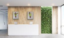 Load image into Gallery viewer, Organic Hyacinth Bulb Original Canvas Pair By Kerrie Griffin