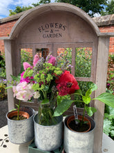 Load image into Gallery viewer, Distressed White Chicken Wire Window Tin Pot Planter