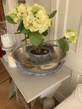 Load image into Gallery viewer, Green Hydrangea Plants in Garden Pot
