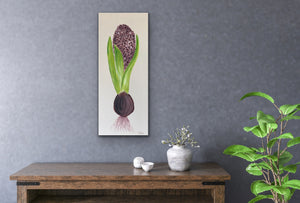 Organic Hyacinth Bulb Original Canvas By Kerrie Griffin The Interior Co