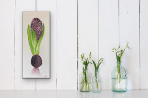 Organic Hyacinth Bulb Original Canvas By Kerrie Griffin The Interior Co