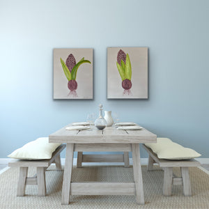 Organic Hyacinth Bulb Original Canvas Pair By Kerrie Griffin